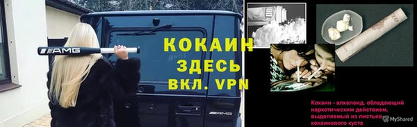 дурь Алзамай