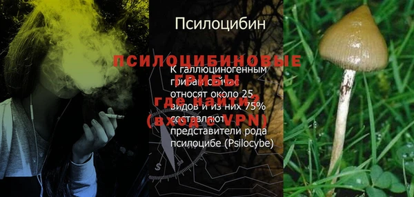 2c-b Абаза