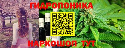прущие грибы Краснодар