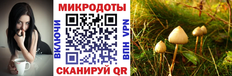 сайты даркнета Telegram Кохма Галлюциногенные грибы ЛСД