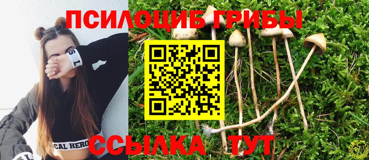 Псилоцибиновые грибы GOLDEN TEACHER  Галлюциногенные грибы мухоморы  Вход с VPN  Кохма 