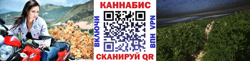 купить наркотики сайты Кохма Канабис тримм